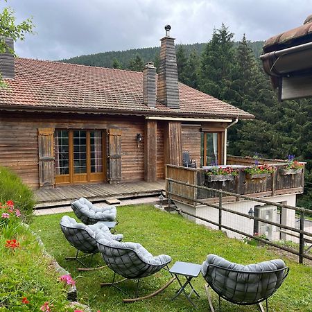 Au 21 Vosgien Bed & Breakfast Ventron Dış mekan fotoğraf