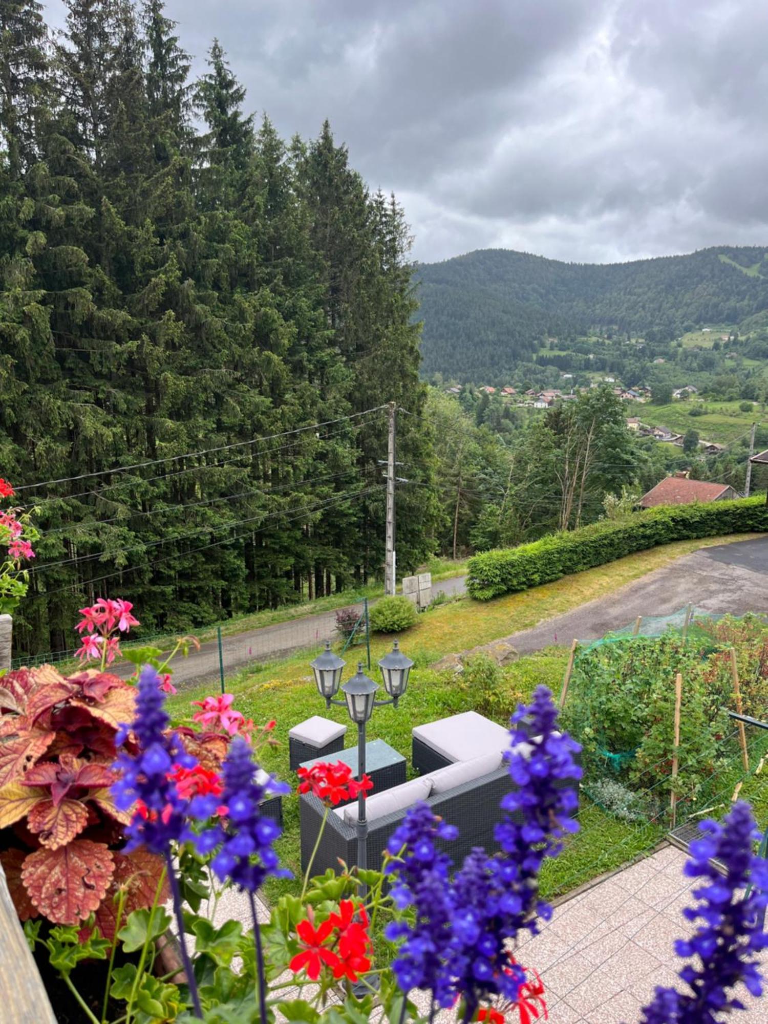 Au 21 Vosgien Bed & Breakfast Ventron Dış mekan fotoğraf