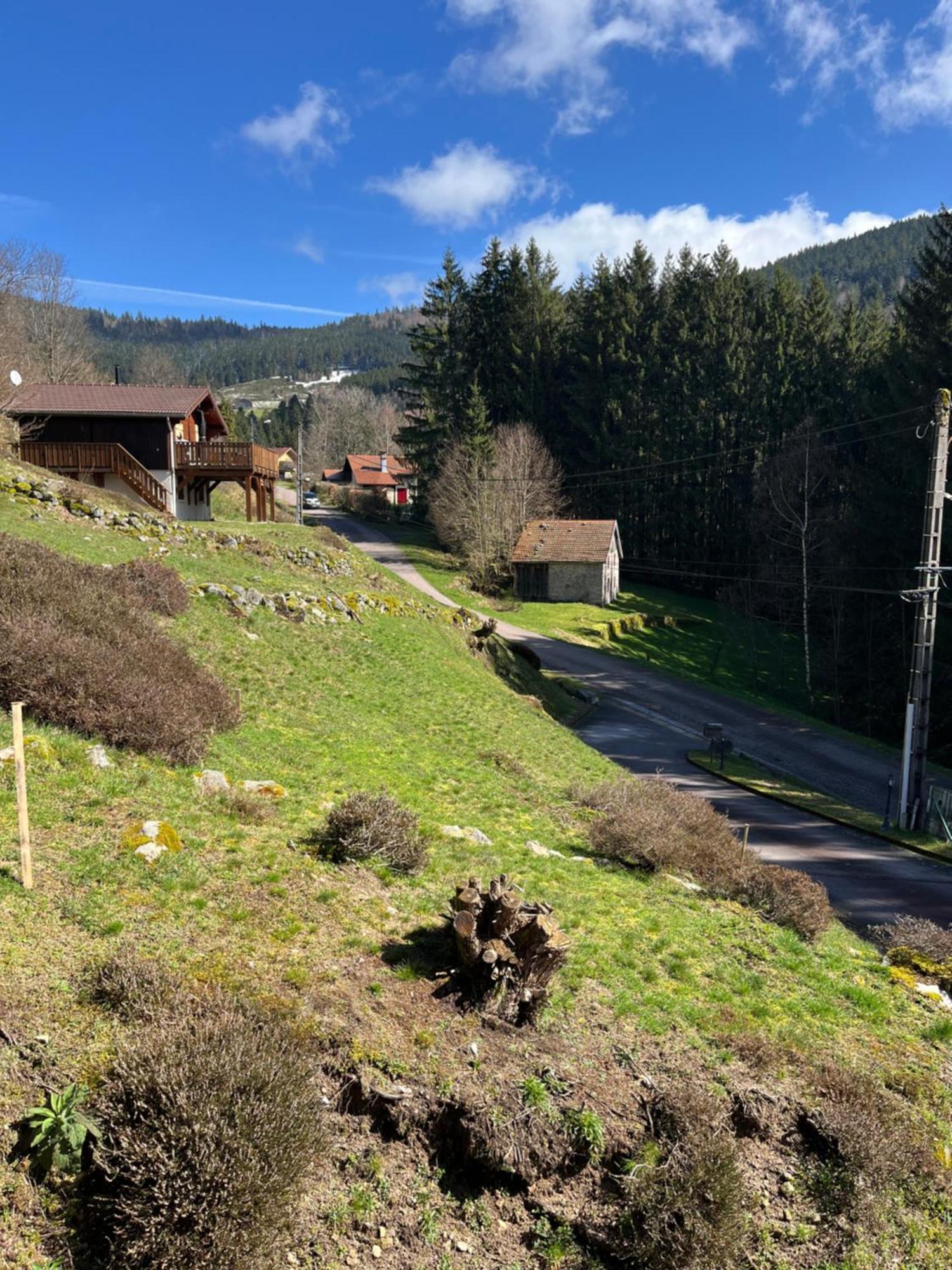 Au 21 Vosgien Bed & Breakfast Ventron Dış mekan fotoğraf